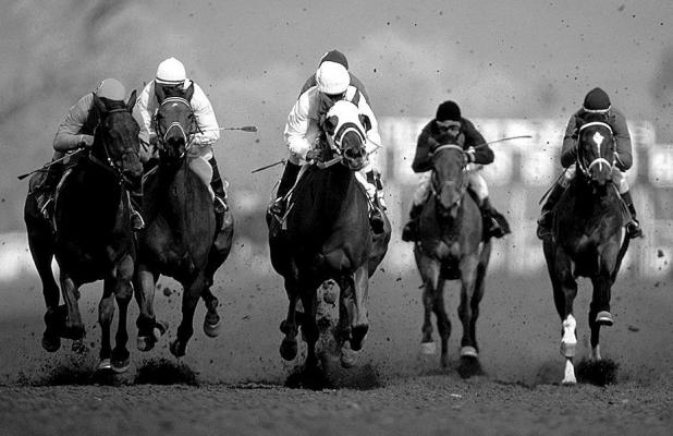 How to Experience the Thrill and Majesty of Kentucky Horse Racing