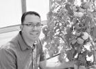 Texas A&M AgriLife Team Seeking ‘holy grail’ of Tomatoes