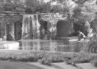 Dallas Arboretum and Botanical Garden Reopens on June 1st with Advance Ticket Reservation Required