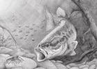 Texas State-Fish Art Contest Announces 2021 Winners