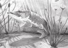 Texas State-Fish Art Contest Announces 2021 Winners