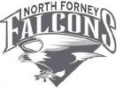 Falcons Roar Past Lions, 48-20