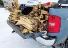 Local Couples Brave Cold to Deliver Free Firewood