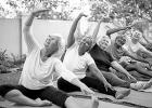 Encouraging Physical Activity to Upgrade Quality of Life in Aging Adults