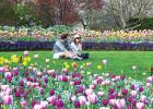 Dallas Arboretum Announces Easter Weekend Festivities April 15 to 17